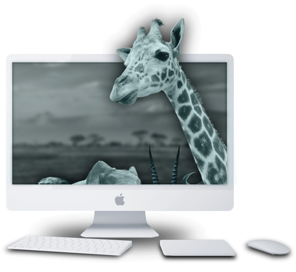 agence_google_adwords_girafe