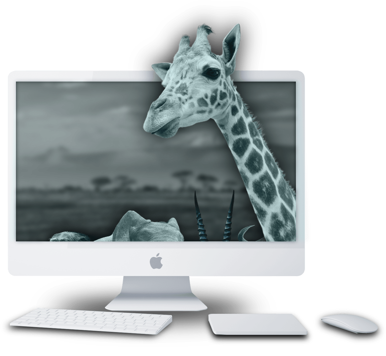 agence_google_adwords_girafe