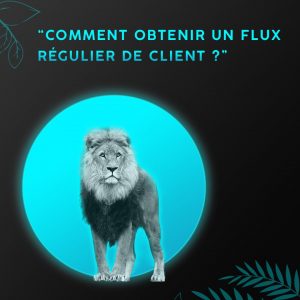 facebook_public_cible_lion-min