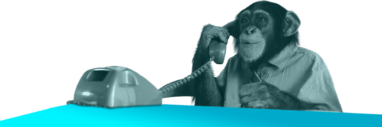 simba_optimisation_seo_singe_phone