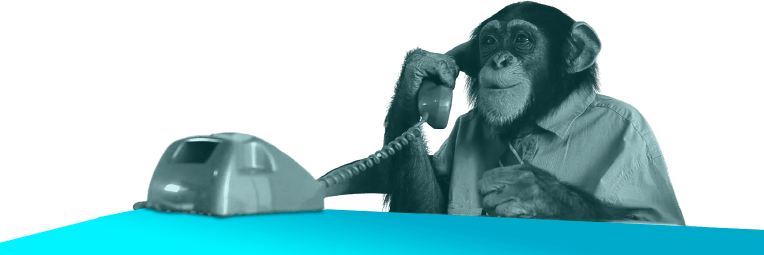 Votre agence Instagram Ads - Simba Digital