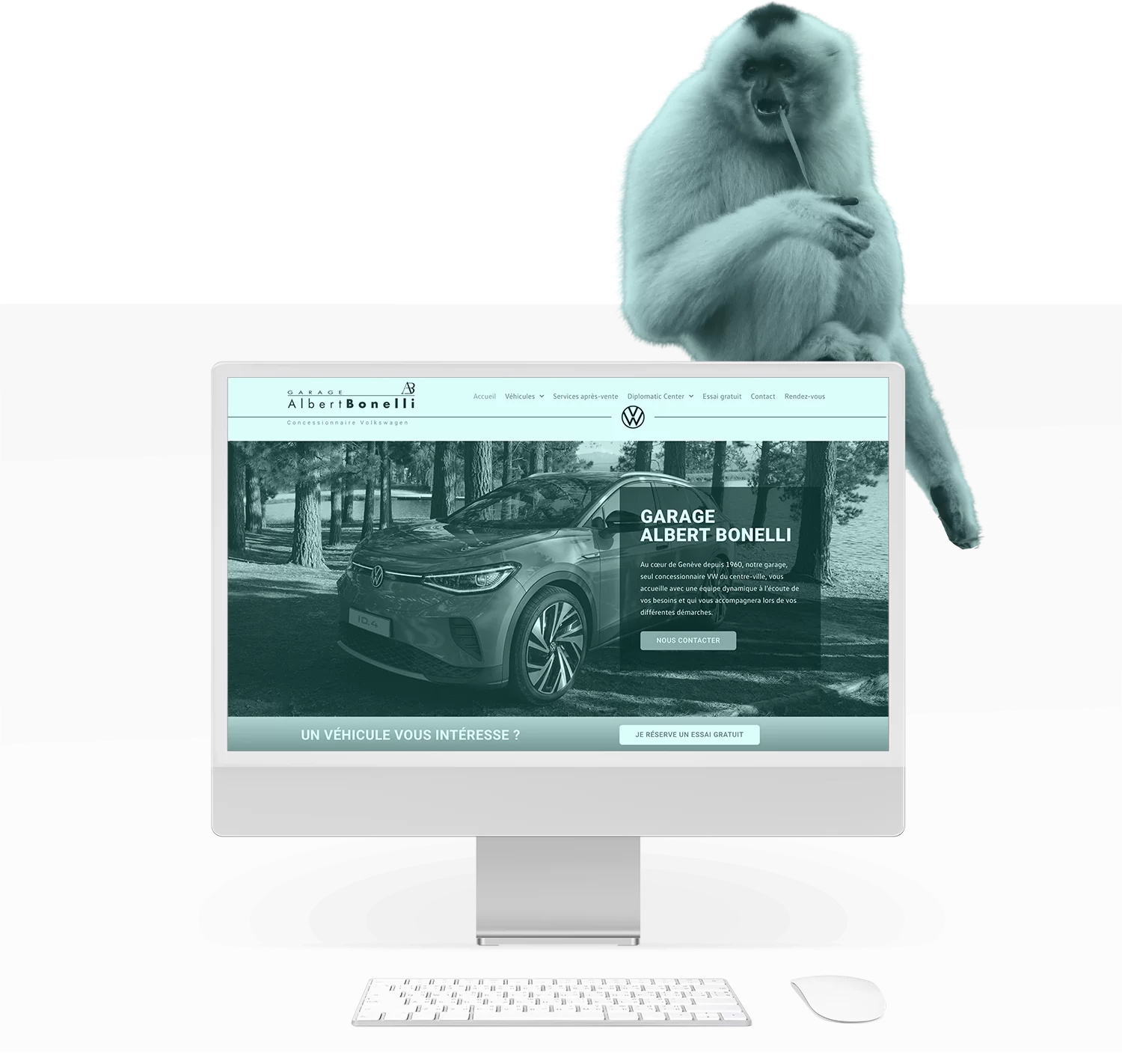 Votre agence digitale - Simba Digital, votre agence marketing, vous accompagne